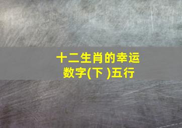 十二生肖的幸运数字(下 )五行